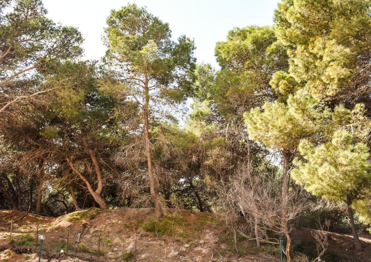 Appartamento Sulla Spiaggia 갈리폴리 외부 사진